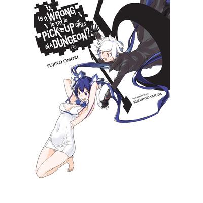 Is It Wrong to Try to Pick Up Girls in a Dungeon?, Vol. 15 (Light Novel)