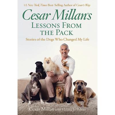 Cesar Millan’s Lessons from the Pack