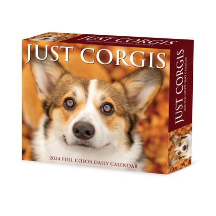 Corgis 2024 6.2 X 5.4 Box Calendar