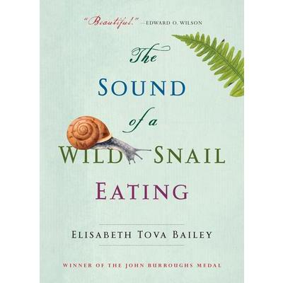 The Sound of a Wild Snail Eating