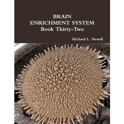 BRAIN ENRICHMENT SYSTEM Book Thirty-Two | 拾書所