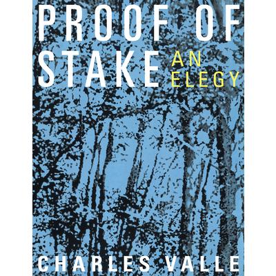 Proof of Stake: An Elegy