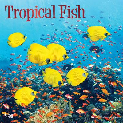 Tropical Fish 2021 Square Foil
