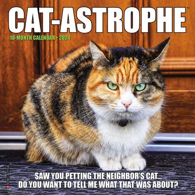 Cat-Astrophe 2024 7 X 7 Mini Wall Calendar