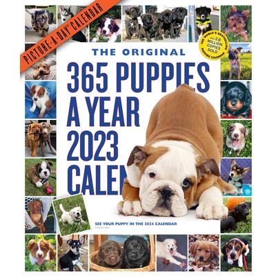 365 Puppies-A-Year Picture-A-Day Wall Calendar 2023 | 拾書所