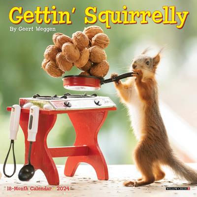 Gettin’ Squirrelly 2024 7 X 7 Mini Wall Calendar