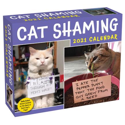 Cat Shaming 2021 Day-To-Day Calendar