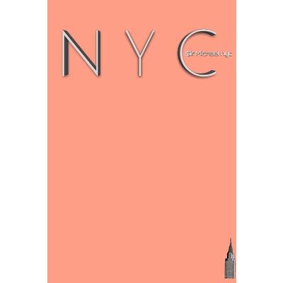 NYC Peach chyrstler building blank Journal $ir Michael designer edition