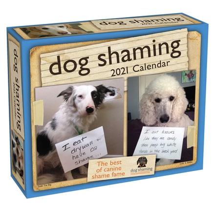 Dog Shaming 2021 Day-To-Day Calendar