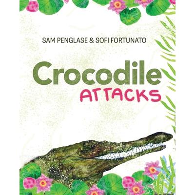 Crocodile attacks