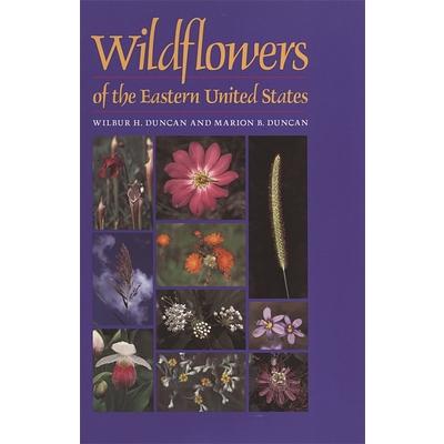 Wildflowers Of The Eastern United States