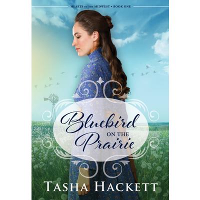 Bluebird on the Prairie