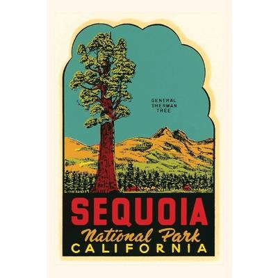 Vintage Journal Sequoia National Park Decal