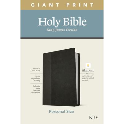 KJV Personal Size Giant Print Bible, Filament Enabled Edition (Leatherlike, Black/Onyx)
