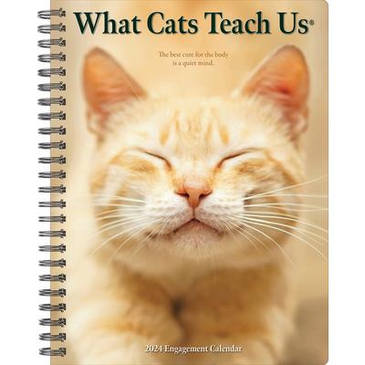 What Cats Teach Us 2024 6.5 X 8.5 Engagement Calendar | 拾書所