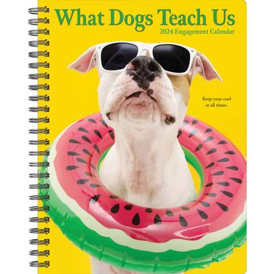 What Dogs Teach Us 2024 6.5 X 8.5 Engagement Calendar | 拾書所