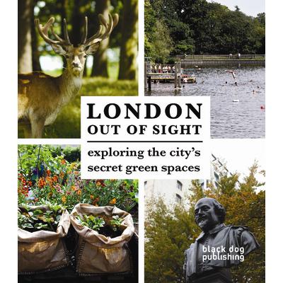 Black Dog Out of Sight London