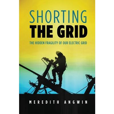 Shorting the Grid
