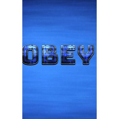 obey writing drawing Journal