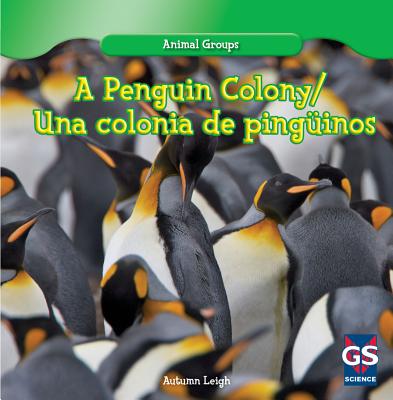 A Penguin Colony / Una Colonia de Ping羹inos