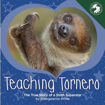 Teaching Tornero | 拾書所