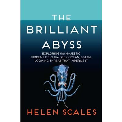 The Brilliant Abyss