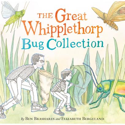 The Great Whipplethorp Bug Collection