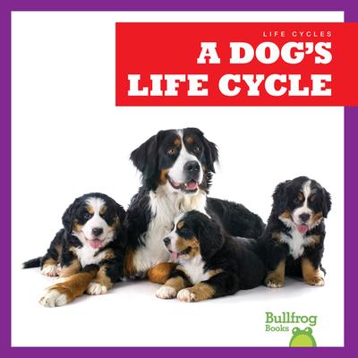 A Dog's Life Cycle | 拾書所