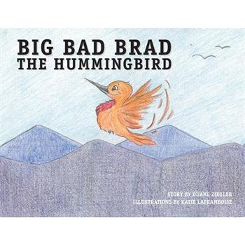 Big Bad Brad the Hummingbird