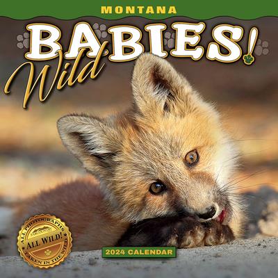 2024 Montana Wild Babies Wall Calendar | 拾書所