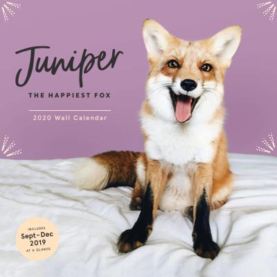 Juniper the Happiest Fox 2020 (Wall)