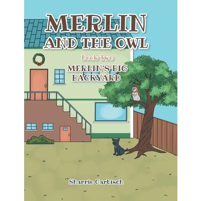Merlin and the Owl