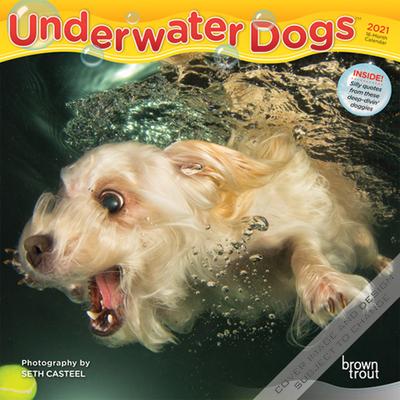 Underwater Dogs 2021 Mini 7x7