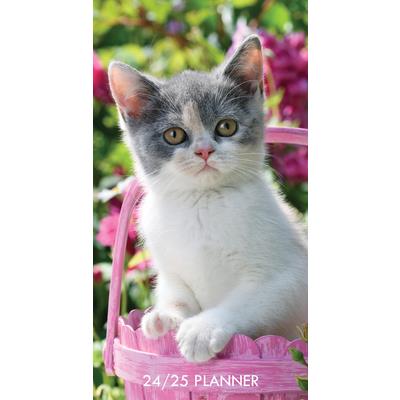 Cute as a Kitten 2024 3.5 X 6.5 2-Year Pocket Planner