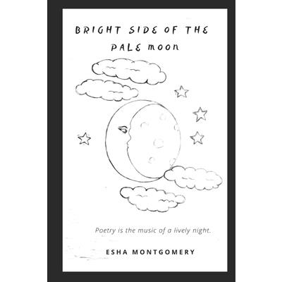 Bright Side of the Pale Moon