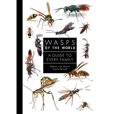 Wasps of the World