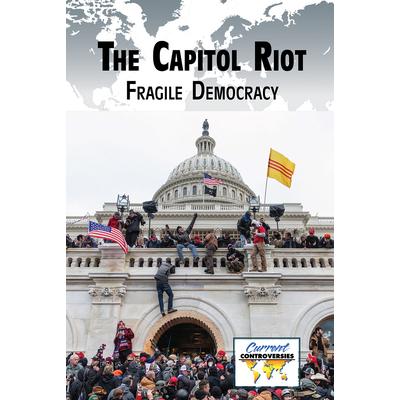 The Capitol Riot