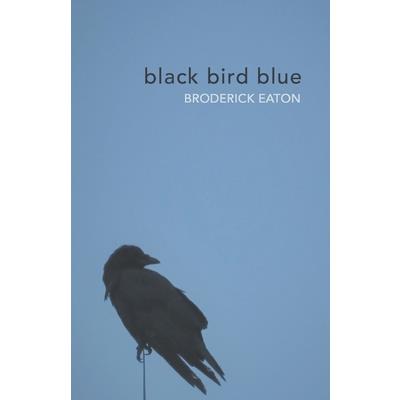 black bird blue