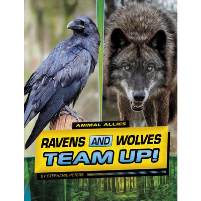 Ravens and Wolves Team Up! | 拾書所