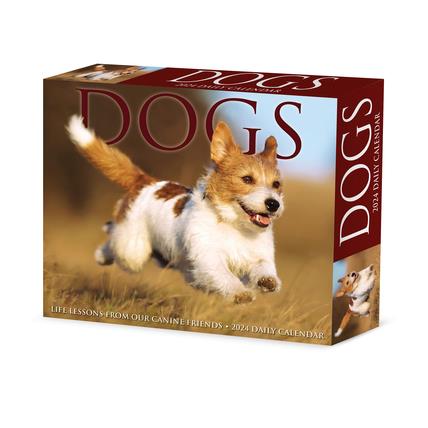 Dogs 2024 6.2 X 5.4 Box Calendar