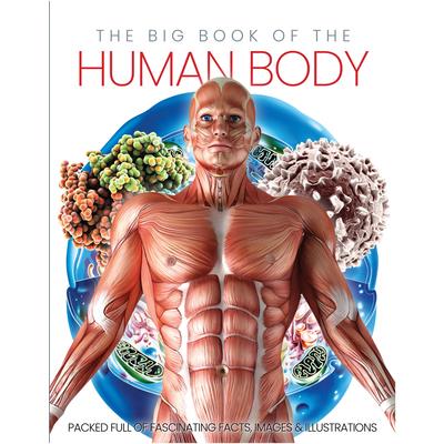 The Big Book of the Human Body