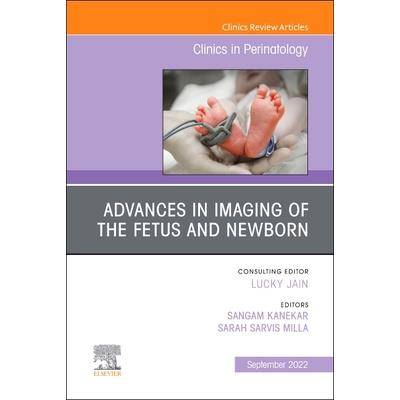 Advances in Neuroimaging of the Fetus and Newborn, an Issue of Clinics in Perinatology