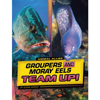 Groupers and Moray Eels Team Up!