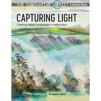 The Innovative Artist: Capturing Light | 拾書所