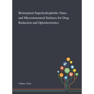 Bioinspired Superhydrophobic Nano- and Microstructured Surfaces for Drag Reduction and Optoelectronics | 拾書所