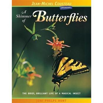 A Shimmer Of Butterflies