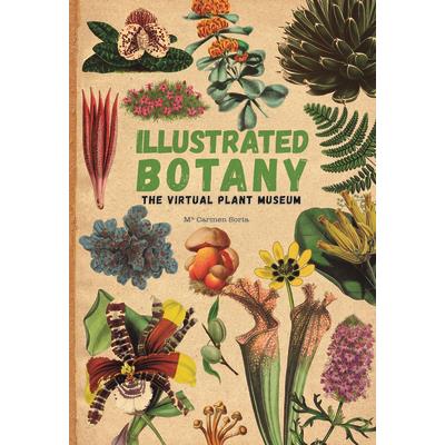 Illustrated Botany | 拾書所