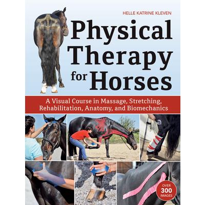 Physical Therapy for Horses