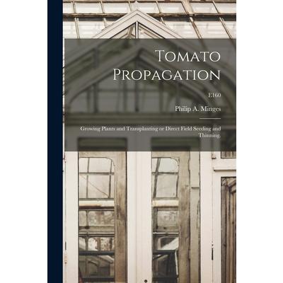 Tomato Propagation
