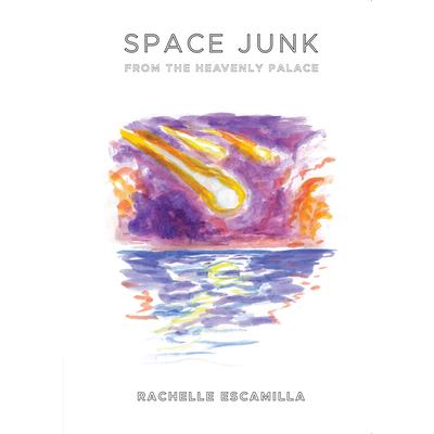 Space Junk from the Heavenly Palace